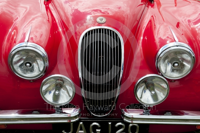 Jaguar XK120 in the Jaguar Owners Club enclosure, Silverstone Classic 2010