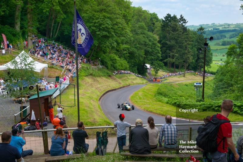 Briony Serrell, Lotus 51A, at the esses, Shelsley Walsh Hill Climb, June 1st 2014. 