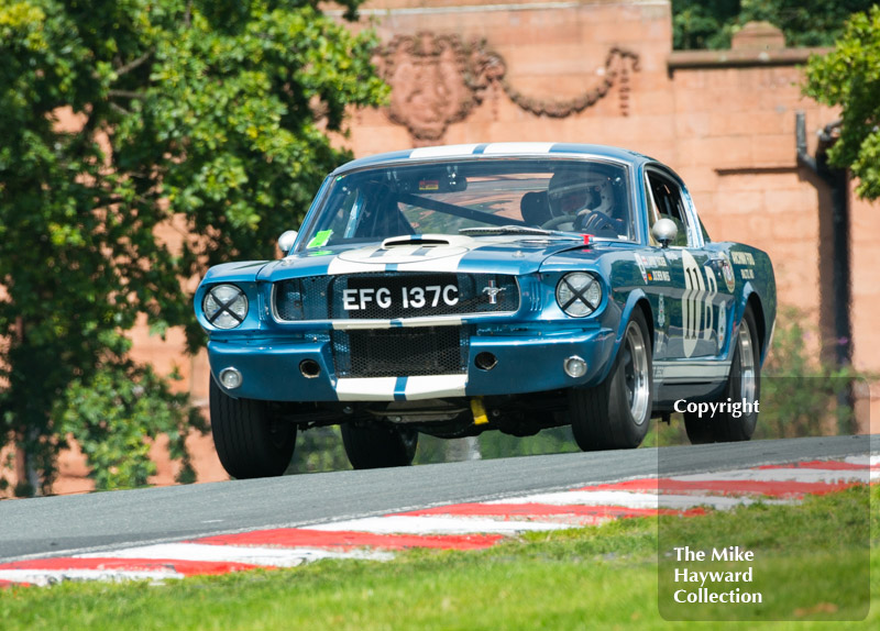 Larry Tucker, Shelby Mustang, 2017 Gold Cup, Oulton Park.
