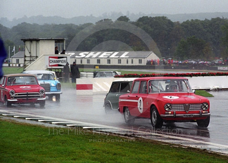 Lincoln Small, Alfa Romeo 2600, St. Mary's Trophy, Goodwood Revival, 1999