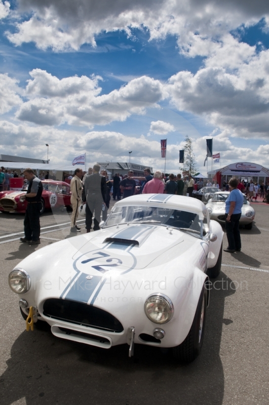 AC Cobra of Wolfe/Hall in summer sunshine in the paddock, Pre-1966 GT and Sports Cars, Silverstone Classic 2010