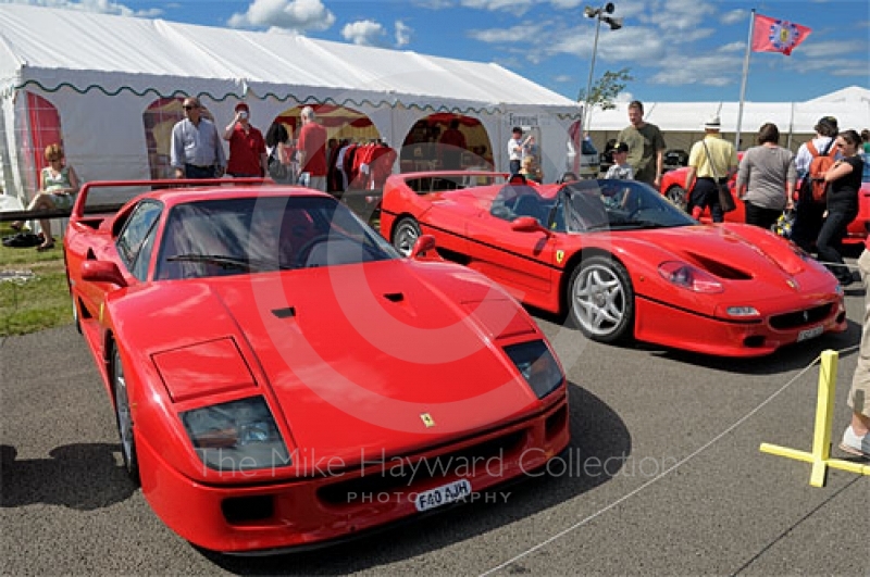 Ferrari Owners Club enclosure, Silverstone Classic 2009.