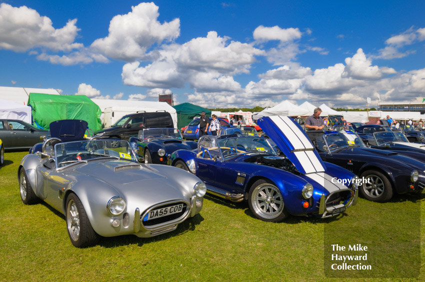 Line-up in the AC Owners Club enclosure, Silverstone Classic 2009.
