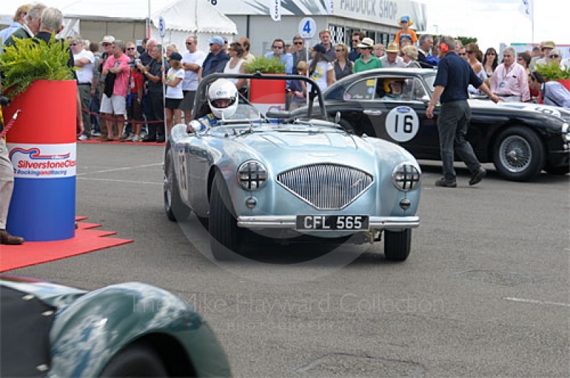 Neil Hardy/Jeremy Welch, 1954 Austin Healey 100M, in the paddock before the RAC Woodcote Trophy race, Silverstone Cassic 2009.