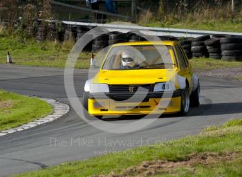 Ralph Pinder, Peugeot 205 GTi, Hagley and District Light Car Club meeting, Loton Park Hill Climb, September 2013.