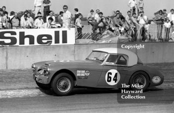 Denis Welch, Austin Healey 100/6, Historic Championships Meeting, Donington Park, 1983.
