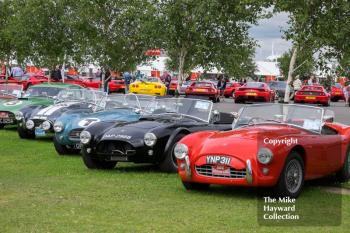 AC Cobras on display at the 2016 Silverstone Classic.
