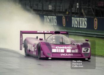 Derek Warwick, Silk Cut Jaguar XJR-14 Cosworth V12, Castrol BRDC Empire Trophy, World Sports Car Championship, Silverstone, 1991.
