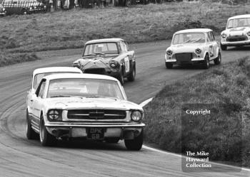 Robin Smith, Ford Mustang; John Myerscough, Ford Anglia; and Paul Purseglove, Mini Cooper S; Redex Special Saloon Car Championship, BRSCC Â£1000 meeting, Oulton Park, 1967.
