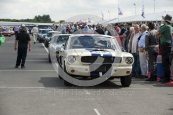 Jeffrey Pattinson's Ford Shelby Mustang GT350, Gentlemen Drivers GT and Sports Cars, Silverstone Classic, 2010