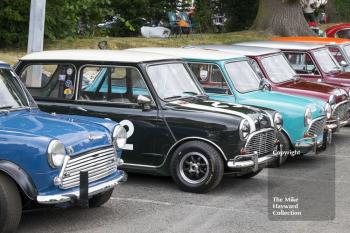 A line-up of Mini Coopers,Â Chateau Impney Hill Climb 2015.