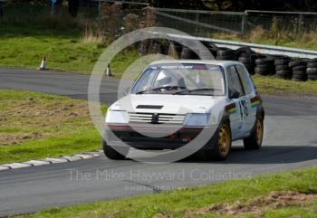 Steve Bailey, Peugeot 205 GTi, Hagley and District Light Car Club meeting, Loton Park Hill Climb, September 2013.