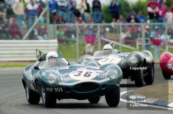 D-Type Jaguar (RSF 303), 1993 Labatts World Endurance 1950's Sports Car Race, 1993 British Grand Prix, Silverstone.
