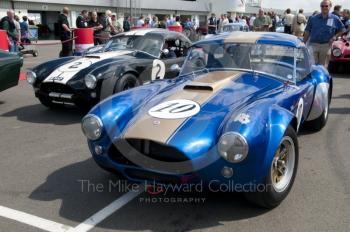 The 1964 4.7 AC Cobra of Andre and Armand Bailly and AC Cobra of Leo Voyazides/Simon Hadfield, Pre-1966 GT and Sports Cars, Silverstone Classic 2010