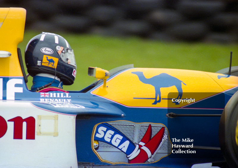 Damon Hill, Williams FW15C, Donington Park, European Grand Prix 1993.