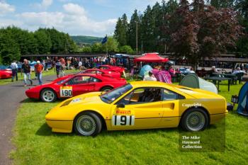 Ferrari hill climb championship cars in the paddock, Shelsley Walsh Hill Climb, June 1st 2014. 