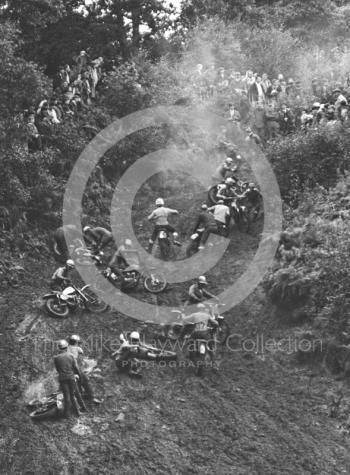 Motocross event at Hawkstone Park, August 1968.