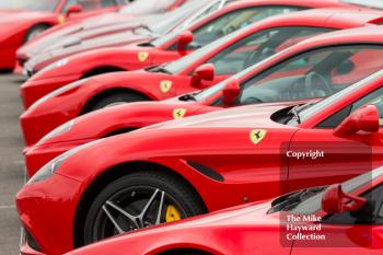 Ferraris line-up at the 2016 Silverstone Classic.
