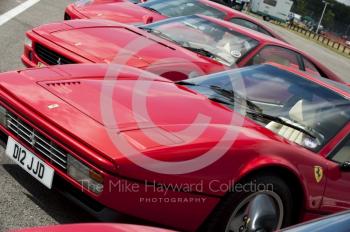 A line-up of Ferrari sports cars in the Ferrari Owners Club enclosure, Silverstone Classic 2010