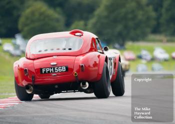 Robert Bremner, 1964 AC Cobra 289, 2017 Gold Cup, Oulton Park.
