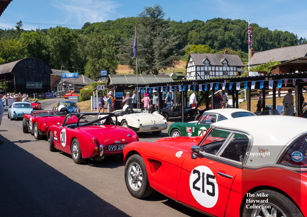 The Trish Cecille Pritchard Austin Healey Mk3 and the Robert Owen Austin Healey Frogeye Sprite, Shelsley Walsh Classic Nostalgia, 16th July 2022.