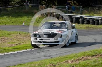 Mick Harriman, Audi Quattro Sport, Hagley and District Light Car Club meeting, Loton Park Hill Climb, September 2013.