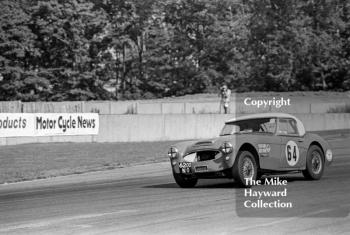 Denis Welch, Austin Healey 100/6, AMOC Thoroughbred Sportscard Championship, Historic Championships Meeting, Donington Park, 1983.
