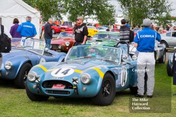 AC Cobras on display at the 2016 Silverstone Classic.
