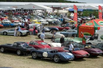 The Jaguar Enthusiasts Club enclosure, Silverstone Classic, 2010