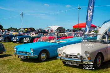 Sunbeam Alpines on display at the 2016 Gold Cup, Oulton Park.
