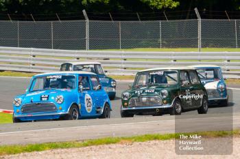 Barry Sime, Mini Cooper S, Roger Godfrey, Mini Cooper S, HSCC Historic Touring Cars, 2016 Gold Cup, Oulton Park.
