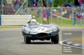 D-Type Jaguar (RSF 303), 1993 Labatts World Endurance 1950's Sports Car Race, 1993 British Grand Prix, Silverstone.
