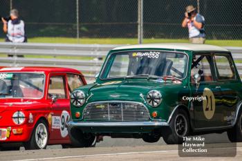 Steve Maxted, Mini Cooper, Steven Platts, Singer Chamois, Historic Touring Cars, 2016 Gold Cup, Oulton Park,
