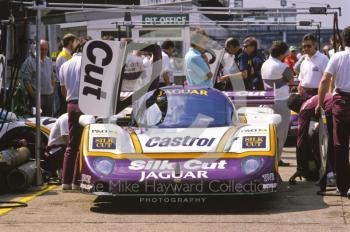 Silk Cut Jaguar XJR-9, Silverstone 1000km FIA World Sports-Prototype Championship (round 4).
