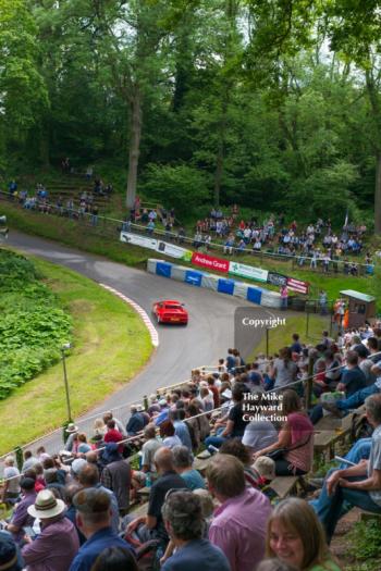 A grandstand view at the esses, Shelsley Walsh Hill Climb, June 1st 2014. 