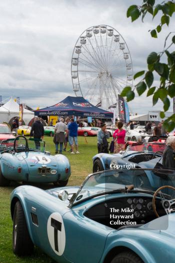 AC Cobras on display at the 2016 Silverstone Classic.
