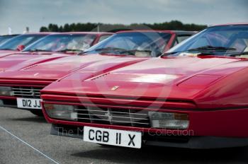 A line-up of Ferrari sports cars in the Ferrari Owners Club enclosure, Silverstone Classic 2010