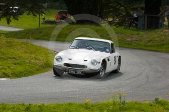 Geoff Ames, TVR Vixen S3, reg no EMA 191K, Hagley and District Light Car Club meeting, Loton Park Hill Climb, August 2012. 