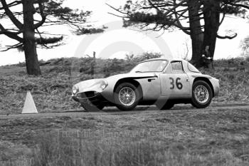 G P Taylor, TVR Mk 2, sixth National Loton Park Speed Hill Climb, April 1965.