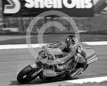  Barry Sheene, 500cc Yamaha, John Player International Meeting, Donington Park, 1982.