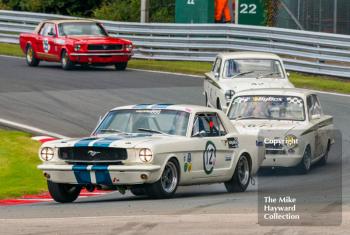 Gregory Thornton, Ford Mustang, HSCC Historic Touring Cars Race, 2016 Gold Cup, Oulton Park.
