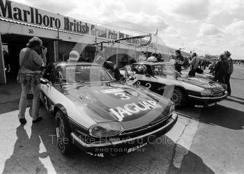 Win Percy/Chuck Nicholson and Enzo Calderari/David Sears Jaguar XJS HEs in the pits, Istel Tourist Trophy, European Touring Car Championship, Silverstone, 1984
