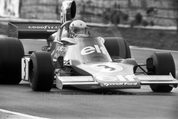 Jody Scheckter, Tyrrell 007, Brands Hatch, Race of Champions 1975.
