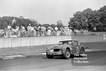 Denis Welch, Austin Healey 100/6, AMOC Thoroughbred Sportscard Championship, Historic Championships Meeting, Donington Park, 1983.
