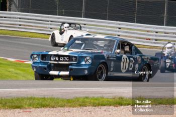 Larry Tucker, Shelby Mustang GT350R, 2017 Gold Cup, Oulton Park.
