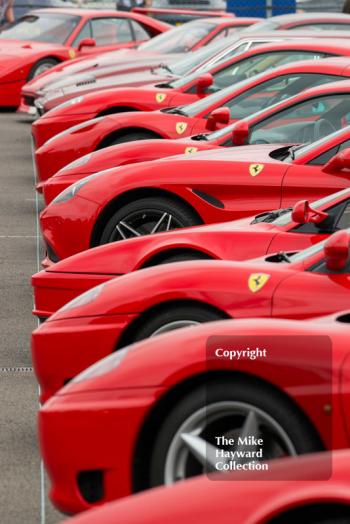 Ferraris line-up at the Silverstone 2016 Classic
