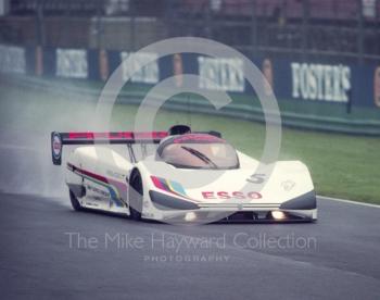 Mauro Baldi/Philippe Alliot, Peugeot 905, Castrol BRDC Empire Trophy, World Sports Car Championship, Silverstone, 1991.
