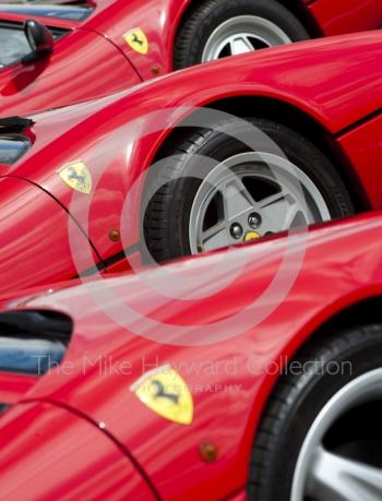 Prancing Horse badges in the Ferrari Owners Club enclosure, Silverstone Classic 2010