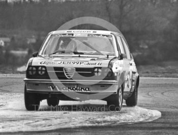 John Myerscough, Napolina Alfa Romeo Alfasud (JEN 99P), Tricentrol British Touring Car Championship, F2 International meeting, Thruxton, 1977.
