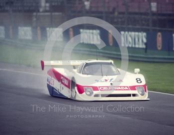 Richard Piper/Cor Euser, Spice SE90C, Castrol BRDC Empire Trophy, World Sports Car Championship, Silverstone, 1991.
